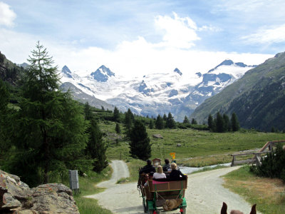 Full Package - Roseg Glacier and Horse Drawn Carriage