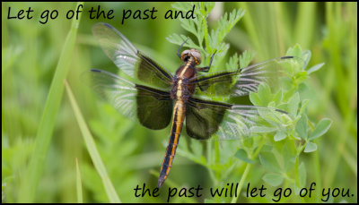 past - let go of the past.jpg