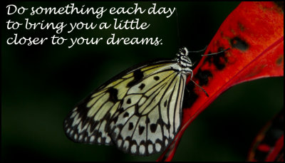 potpourri - do something each day.jpg