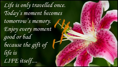life - life is only travelled.jpg