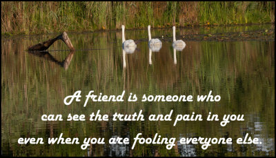 Friends - A friend is someone who.jpg