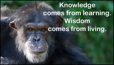 knowledge - knowledge comes from.jpg