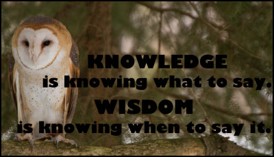 knowledge - knowledge is knowing.jpg