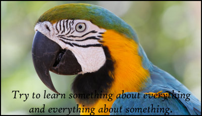 knowledge - try to learn something.jpg