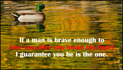 Men - If a man is brave.jpg