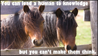 Knowledge - You Can Lead.jpg
