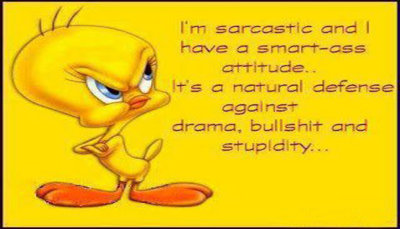 sarcasm - Im sarcastic and I.jpg