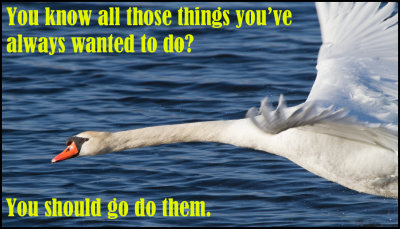 Note to Self - you know all.jpg