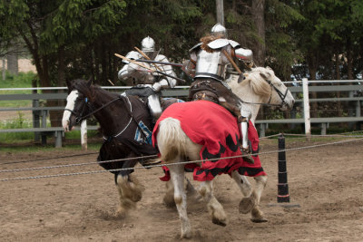 Medieval Faire 2015  0959 www.jpg