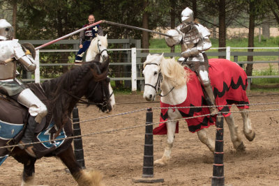 Medieval Faire 2015  0969 www.jpg
