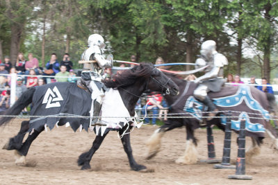 Medieval Faire 2015  1270 www.jpg