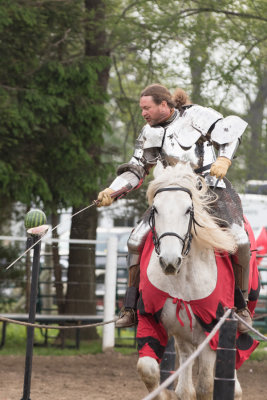 Medieval Faire 2015  1235 www.jpg