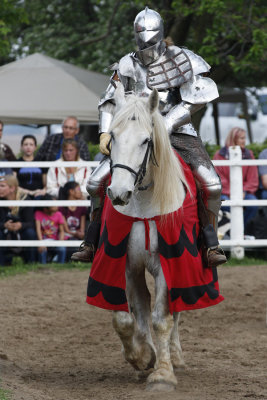 Medieval Faire 2015  1250 www.jpg