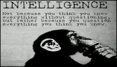 knowledge - intellegence not because.jpg