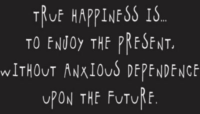 happiness - true happiness is.jpg