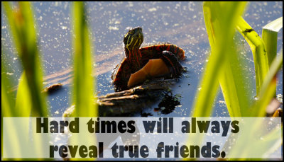 friends - hard times will always.jpg