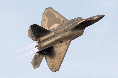 F-22 Raptor