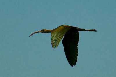 g9/94/1067894/3/151580518.WDWju8cm.jpg
