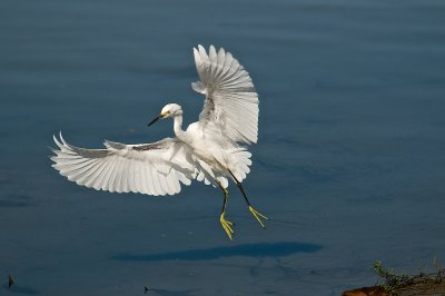 Air brakes