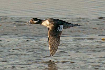 g9/94/1067894/3/154408562.ky5dp2Ef.jpg