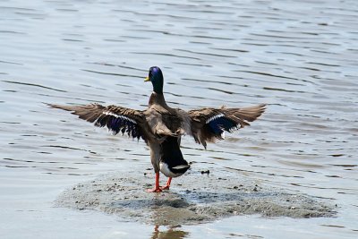 Clear for take-off