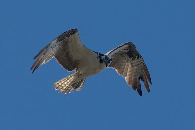 g9/94/1067894/3/158656479.3T8vXoG5.jpg