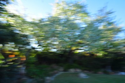 g9/94/1067894/3/159125273.sFqZrcT5.jpg
