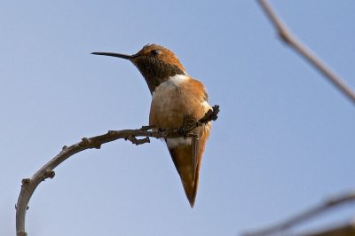 At rest