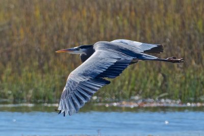 Glide control