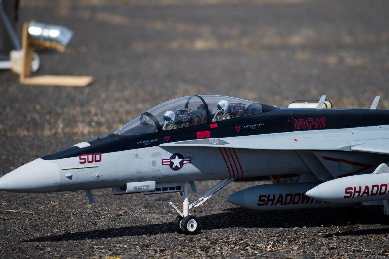 DSC_6303.jpg
