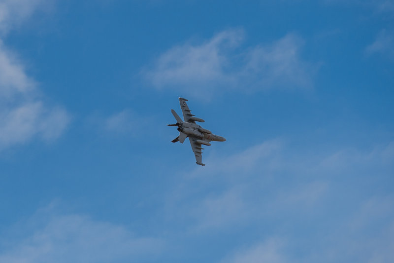 DSC_6331.jpg
