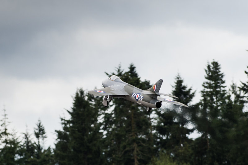 DSC_5561.jpg