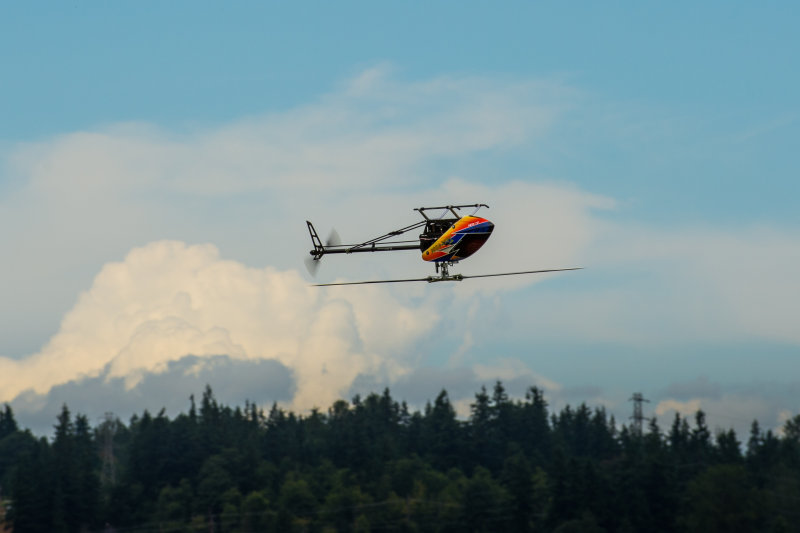 DSC_4120.jpg