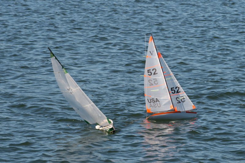 _DSC8265.jpg