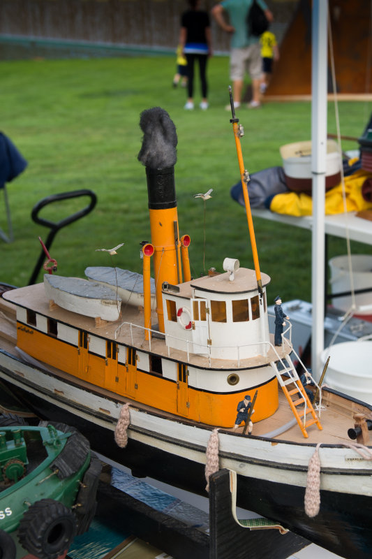 _DSC8564.jpg