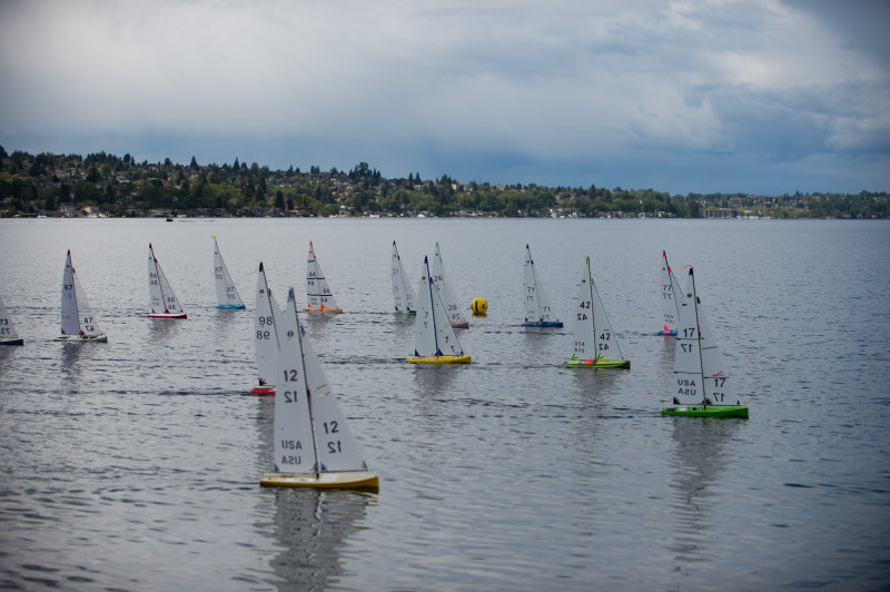 _DSC9105.jpg