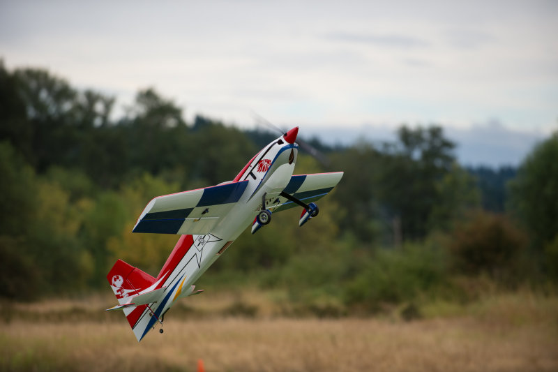 _DSC9488.jpg