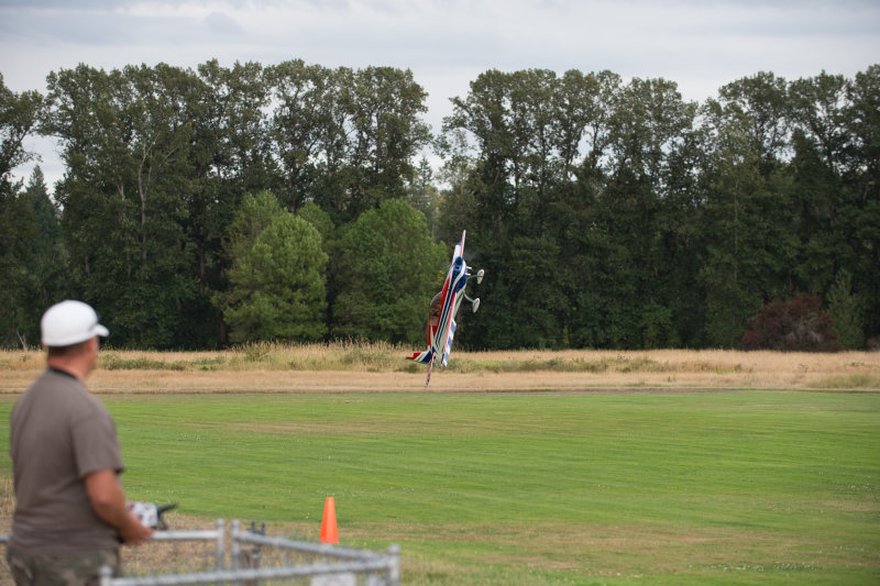 _DSC9729.jpg