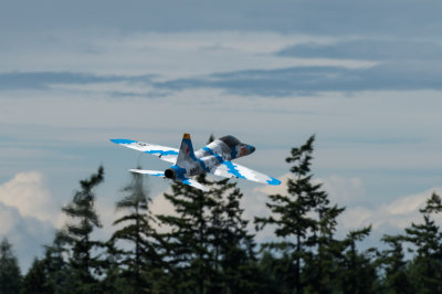 DSC_6116.jpg