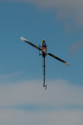 DSC_4063.jpg