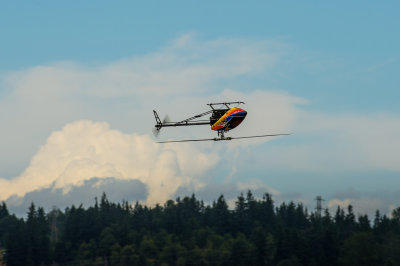 DSC_4120.jpg