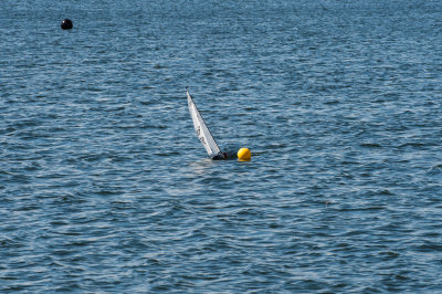 _DSC8241-Edit.jpg