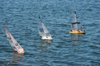 _DSC8255.jpg
