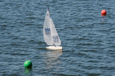 _DSC8262.jpg