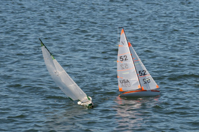 _DSC8265.jpg