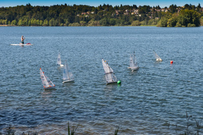 _DSC8278.jpg