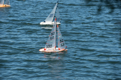 _DSC8285.jpg
