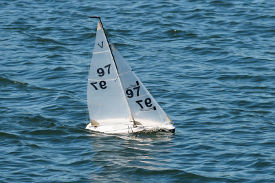 _DSC8302.jpg