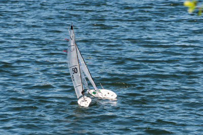 _DSC8309.jpg