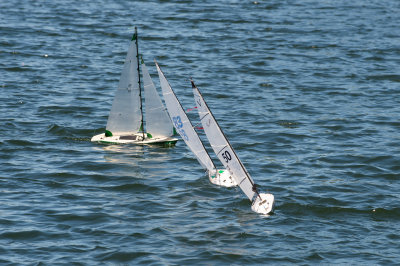 _DSC8310.jpg